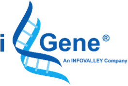 igene2
